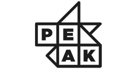 Peak.ai Decision Intelligence Platform Logo